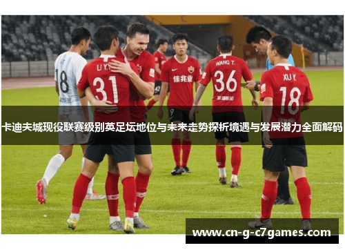 卡迪夫城现役联赛级别英足坛地位与未来走势探析境遇与发展潜力全面解码